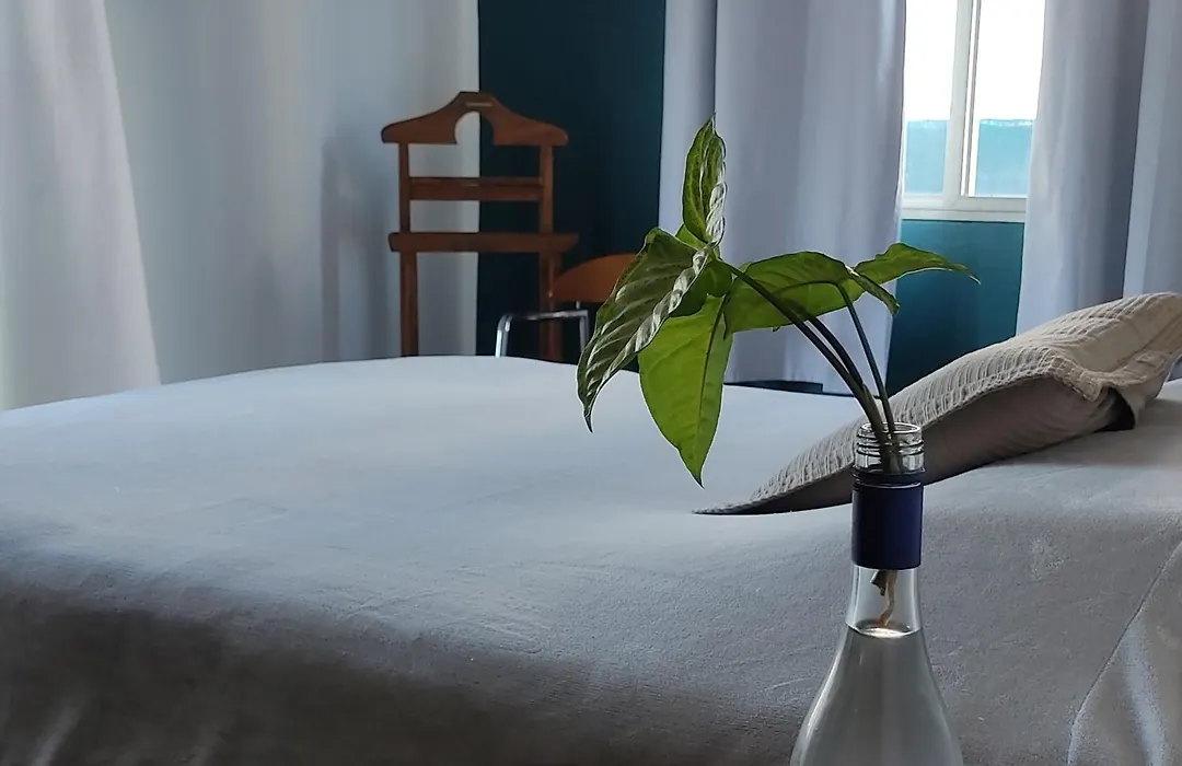 Patio Urbano Suites&beds-1
