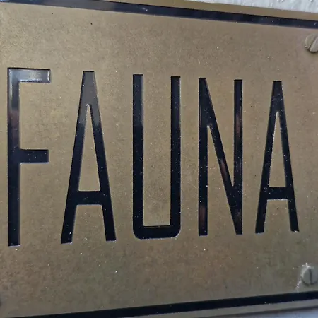 FAUNA Montevideo-3